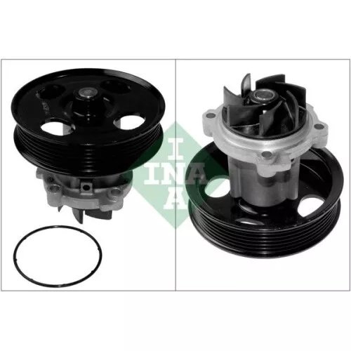 1x Wasserpumpe, Motorkühlung INA 538 0442 10 passend für CITROËN FIAT FORD