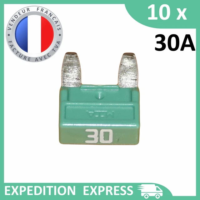 10 mini fusibles 30A auto moto à lame vert
