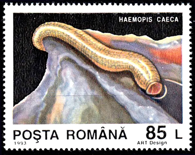 Rumänien postfrisch MNH Tier Wildtier haemopis caeca Egel Tierwelt Fauna / 911