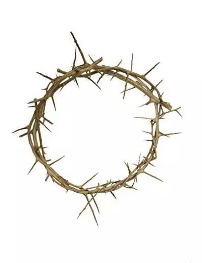 Authentic Crown of Thorns- Real Life Size