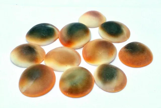 11 Pieces + 1 Free Gomati Chakra Gomti Chakra 100% Natural Beads Energized