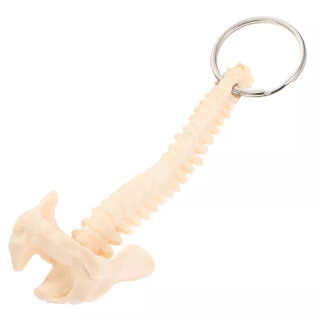 Spine Keyring Purse Charms Teaching Aid Toy Skeleton Keychain