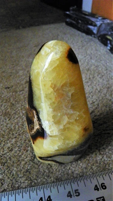 septarian nodule, from Madagascar, polished.  1 Lb., 00.40 Oz.  # B.