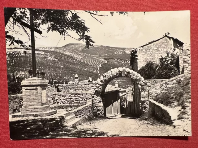 Cartolina - Spello ( Perugia ) - Arco di Augusto - 1971