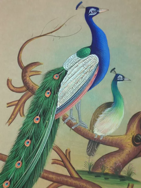 China Miniature Painting Art Gallery Artist Bird Peacock in Forest