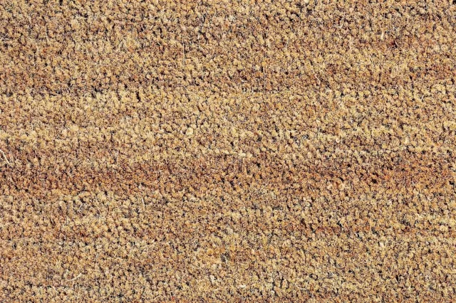 Top Quality 17mm Thick Plain Bleached Coconut PVC Backed Heavy Duty Coir Matting