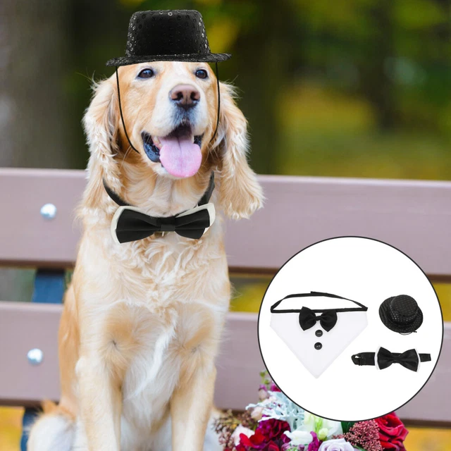 1 Set Haustier-Dreieck-Lätzchen-Schals Kostüm Hund Formalen Hut Hochzeit Hund Ba
