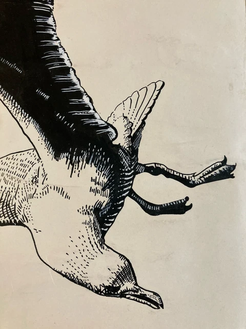 Lot De 3 Dessins Anciens - Encre Et Lavis Oiseau Héron, Art Asiatique Sur Papier Vers 1900