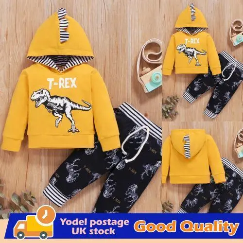 2Pcs Kids Baby Boys Dinosaur Hooded Tops Pants Tracksuit Set Outfits Clothes