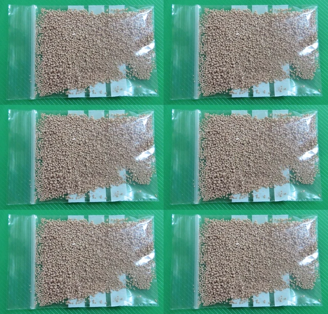 SEIx5 GRAMMI BUSTINE ESSICCATE LIEVITO ATTIVO PER VINIFICAZIONE E FERMENTAZIONE BBE 06/2024