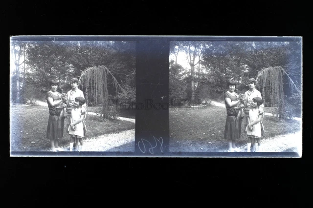 France Family in the Garden Amateur Photo NEGATIVE Stereo Plate c1930