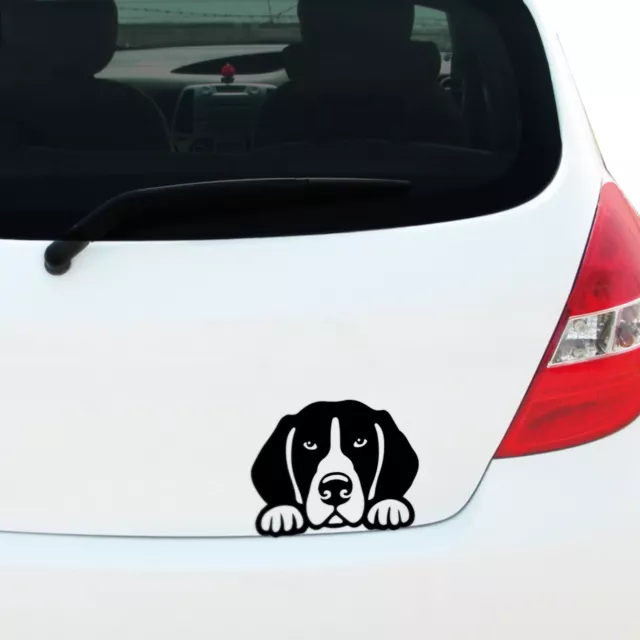 180mm Peeking GREAT DANE Decal Sticker Car Window Bumper Pet Dog Puppy Rescue