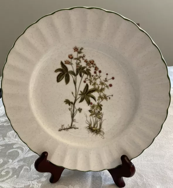 Mikasa Ultra Ceram Botany - Salad Plates 8 1/2"