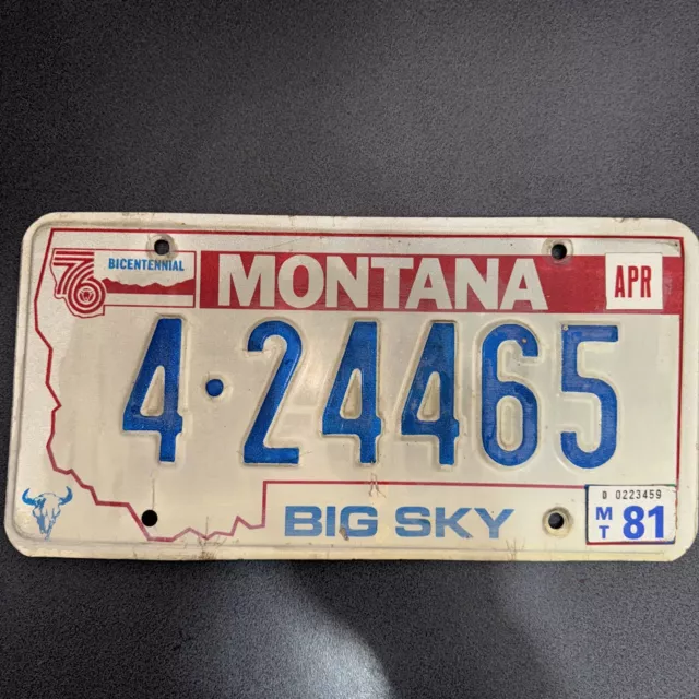 USA Nummernschild Montana 1981 US License Plate Autokennzeichen Vintage