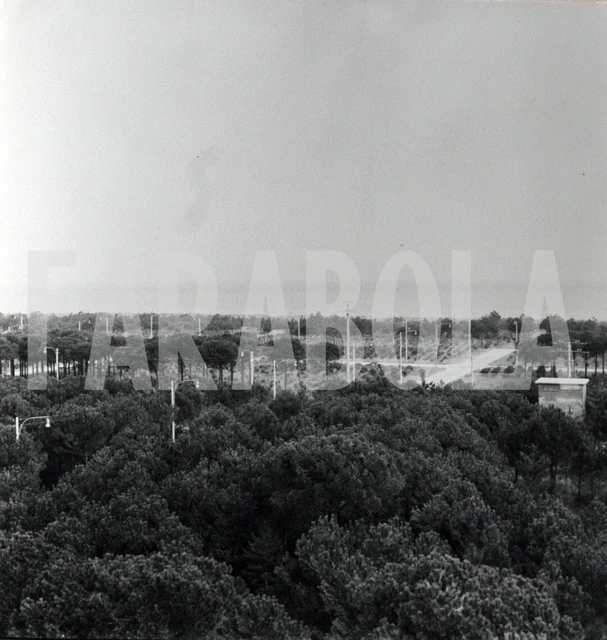 Foto Vintage Ravenna la pineta anni 60 stampa 24x18 cm
