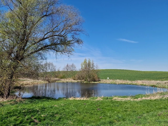 Wunderschönes großes " Wasser - Grundstück " Mecklenburg 1655m²  VB 40.000€