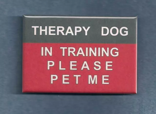 THERAPY DOG IN TRAINING PLEASE PET ME  - therapy dog vest button w/pin back