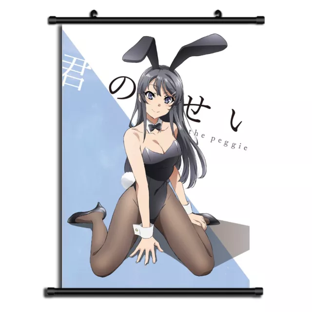 ANIME DVD~Seishun Buta Yarou Wa Bunny Girl(1-13End+Movie)English