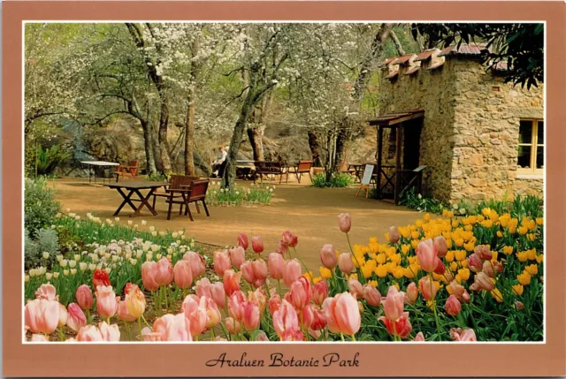 Araluen Botanic Park Roleystone Western Australia Tulip Time Postcard Unp