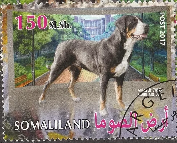 GREATER SWISS MOUNTAIN DOG ** Int'l Dog Postage Stamp ** Great Gift Idea*