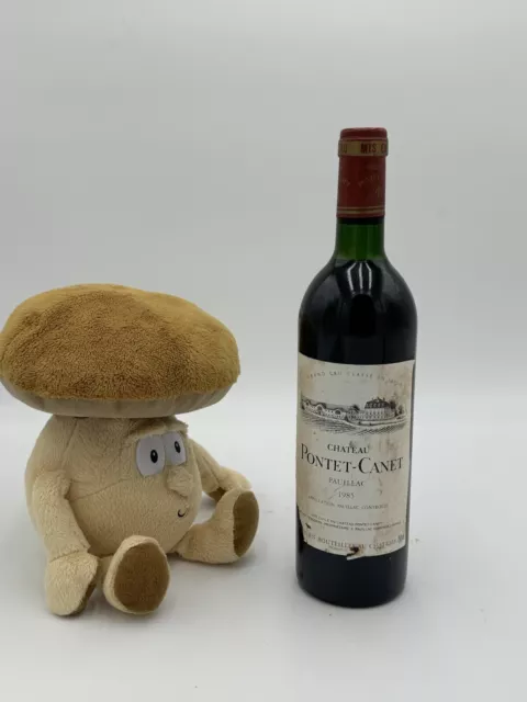 🌟 Chateau Pontet Canet 1985 Paillac .75cl