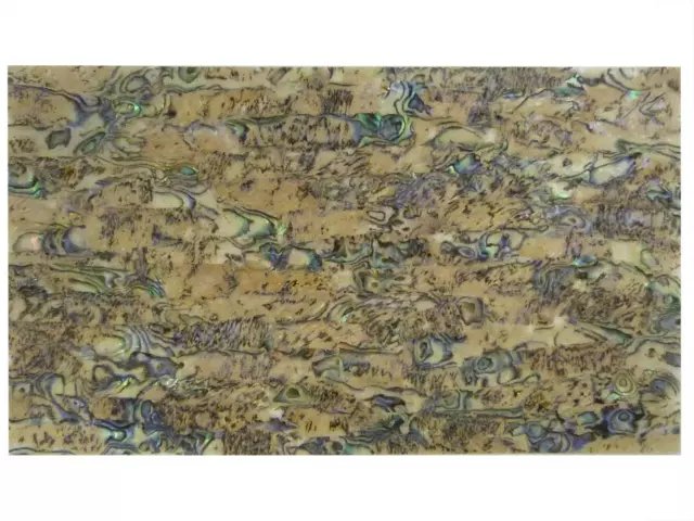 Incudo New Zealand Heart Abalone Laminate Shell Veneer - 240x140x0.15mm