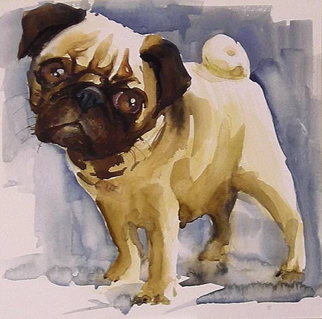 Acuarela * watercolor * Perro Carlino* Pintura original