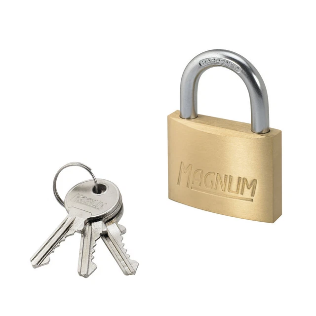 Master Lock Lucchetto Magnum 50 mm ottone 40044