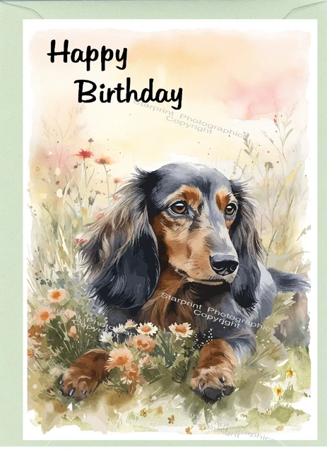Biglietto Di Compleanno Con Cane Salsiccia - Bassotto 145 X 145