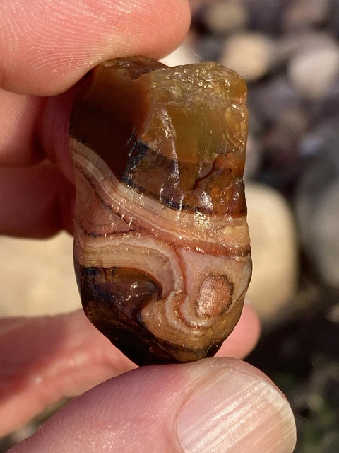 Lake Superior Agate 1.20oz Fortified With Pink