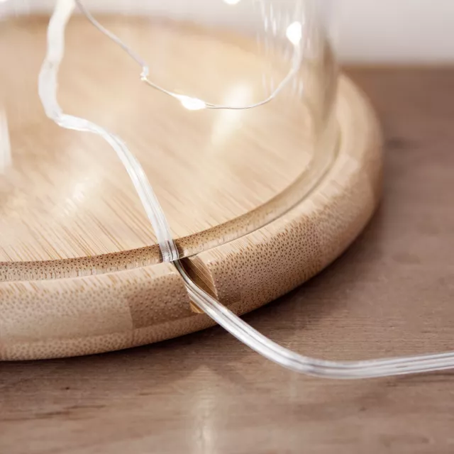 Small or Large Glass Display Cloche Bell Jar Dome with Wooden Base 3