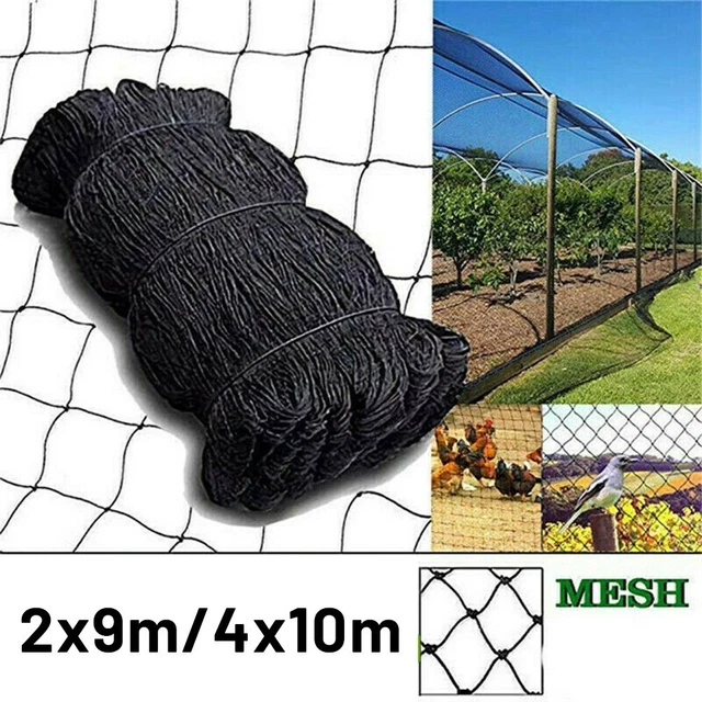 Filet Anti-oiseaux 4x10m - Maille 15mm, En PE Résistant, Pour Protéger Fruits, Légumes, étangs
