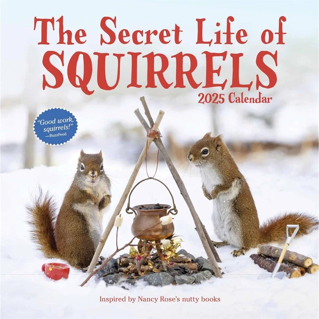 THE SECRET LIFE Of Squirrels Calendar 2025 Humour Month To View £9. Trees For Life Calendar 2025 Uk