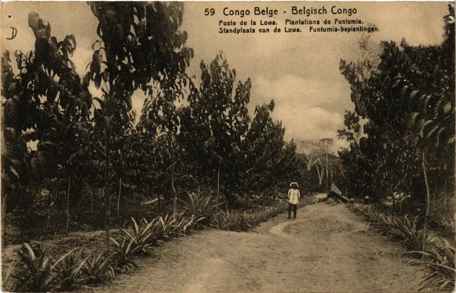 PC CPA BELGIAN CONGO, POSTE DE LA LOWA, VINTAGE POSTCARD (b12602)