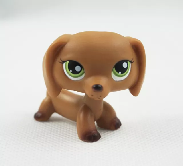 LPS CAT Rare Littlest pet shop toys dog #556 brown sausage