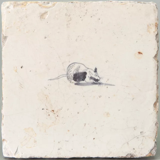 Nice Dutch Delft Blue tile, mouse, 17th. century.