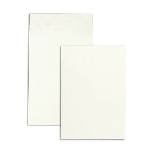Tyvek Open-End Envelope,Plain,12"x16"x2", 100/CT,White