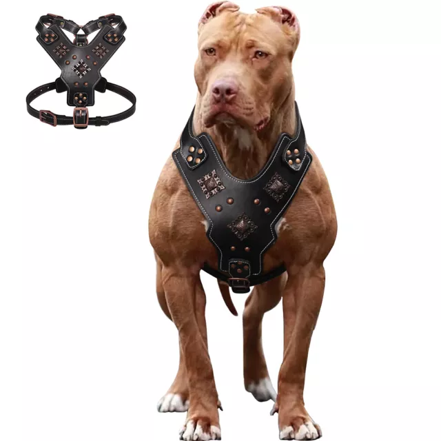 No Pull Retro Rivet Studded Dog Harness Heavy Duty Genuine Leather Vest Pitbull