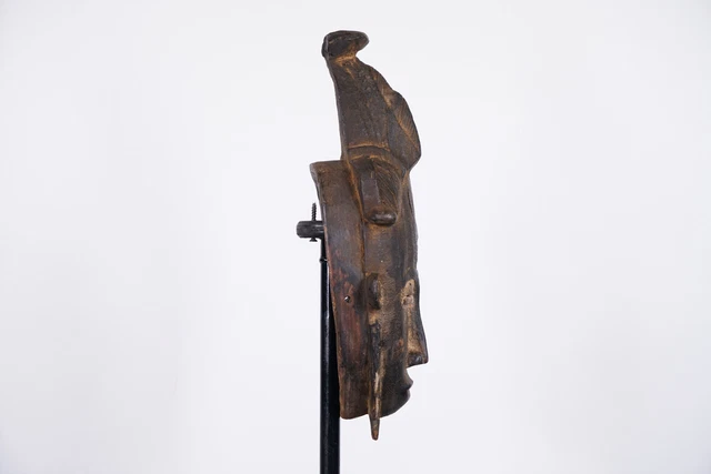 Attractive Baule Mask 17" - Ivory Coast - African Art 3