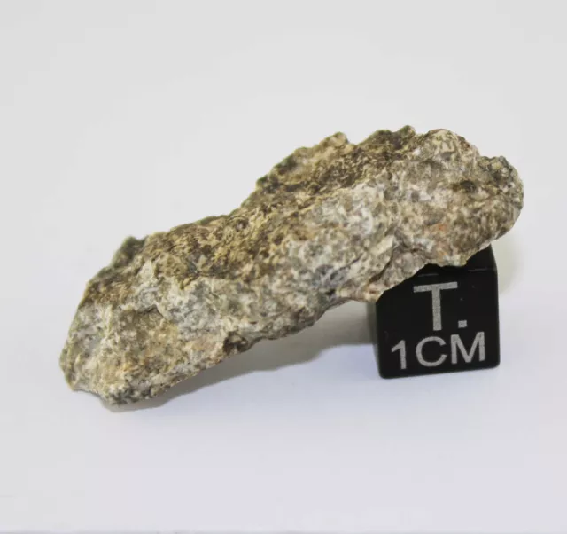 Talon de météorite NWA 13343 - Achondrite Eucrite (NWA - 8.90 grammes - 001 **) 2