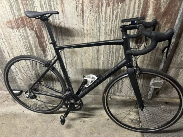 61cm specialized 2025 allez