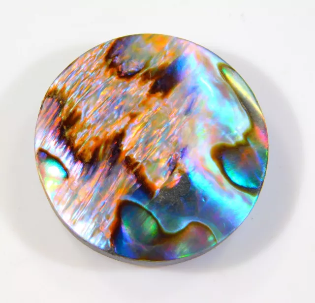 28 CT Superbe Naturel Arc-en-Ciel Feu Abalone Coque Rond Cabochon Gemme Ci = 201