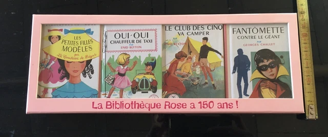 Bibliothèque Rose - les cinq et le rubis d'Akbar