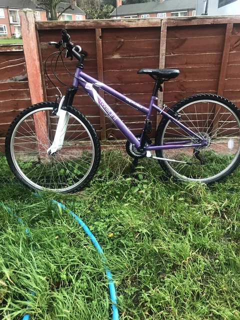 Apollo online twilight purple