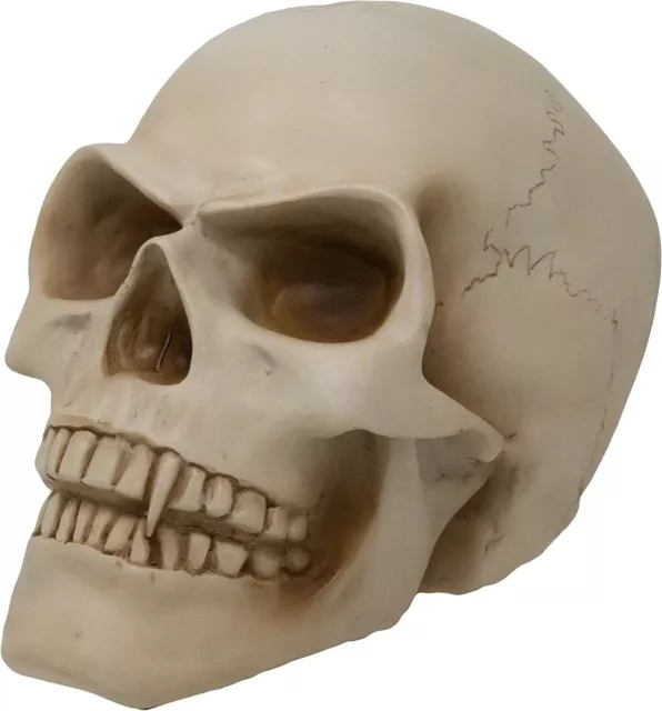 Skull Bone Effect Human Head Sculpture Ornament Paperweight Home Office Decor