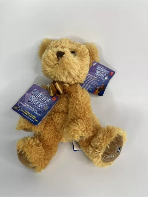Shining star clearance teddy bear