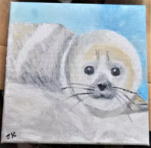 OIL PAINTING original art on canvas BABY SEAL 8"x8" handpainted Ukrainian artist