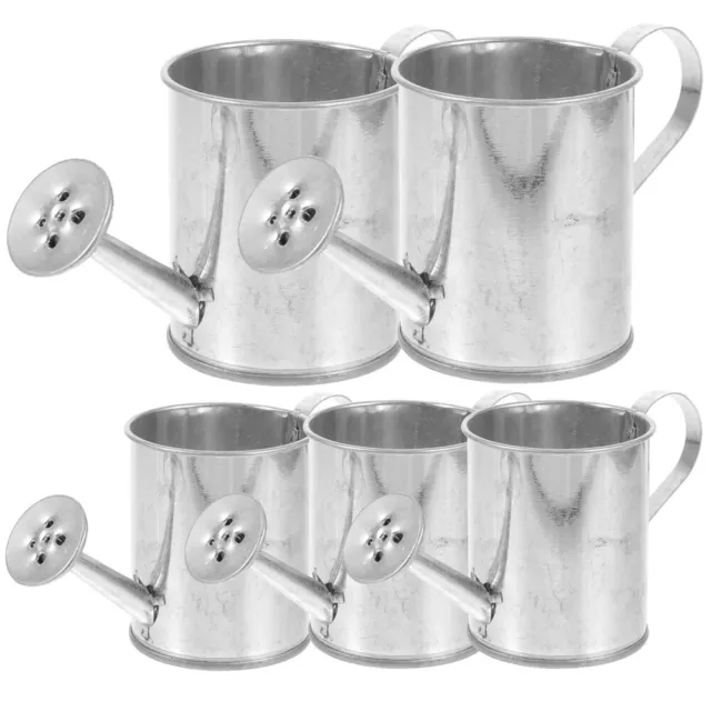 5Pcs Mini Galvanized Watering Can for Gardening