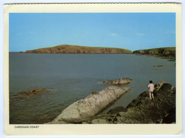 Vintage Large 1960s Postcard The Cardigan Coast Wales Unposted