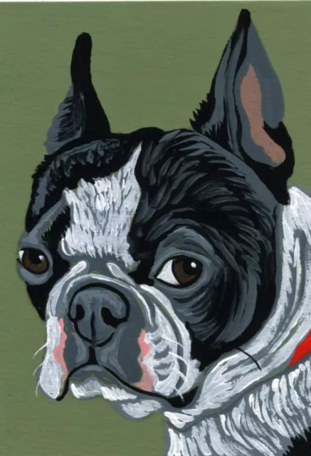 ACEO Original Miniature Painting Boston Terrier Dog Pet Art-C. Smale